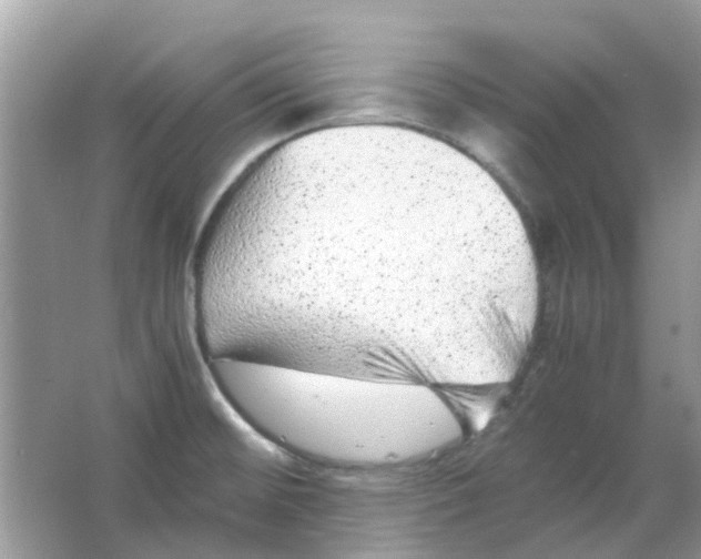 X0000065961476200603241834