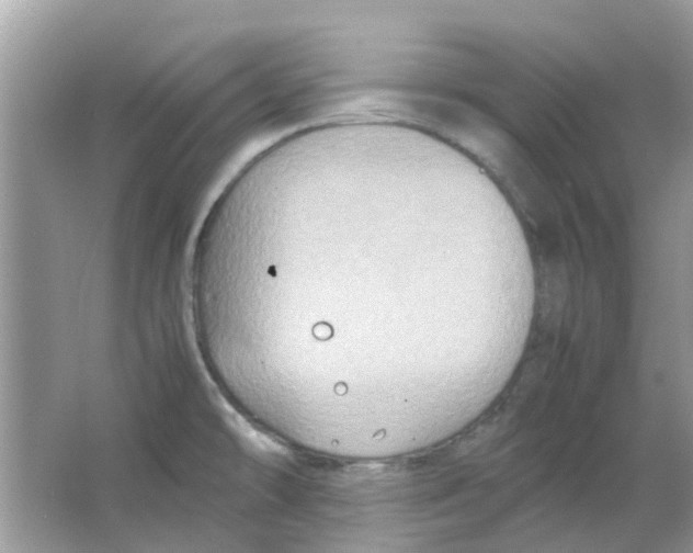 X0000065961478200603241834