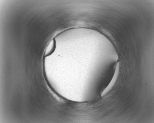 X0000065961479200603241834