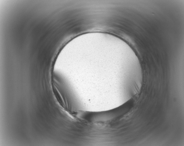 X0000065961480200603241834