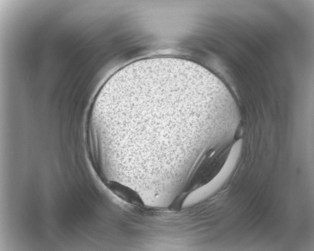 X0000065961483200603241834