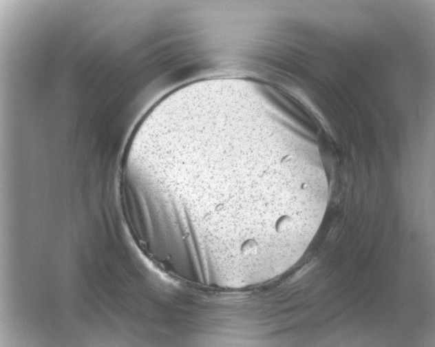 X0000065961484200603241834