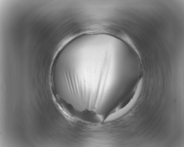 X0000065961485200603241834