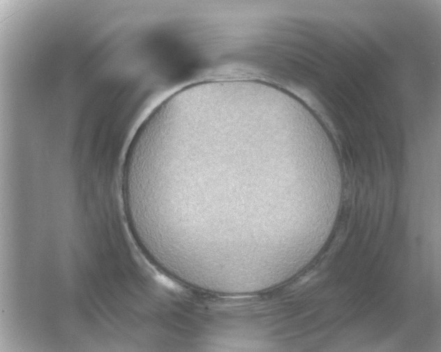 X0000065961486200603241834