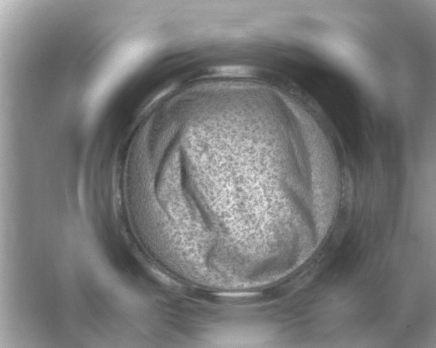 X0000065961487200603241834