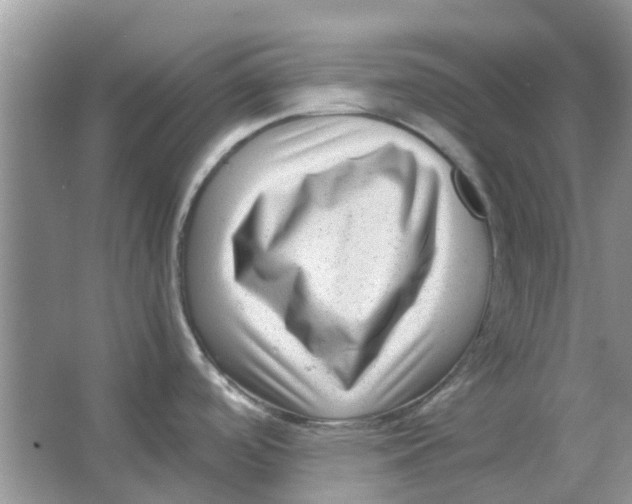 X0000065961488200603241834