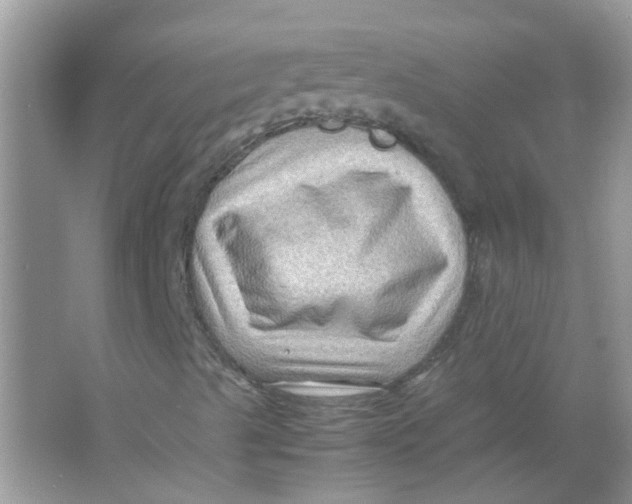 X0000065961489200603241833