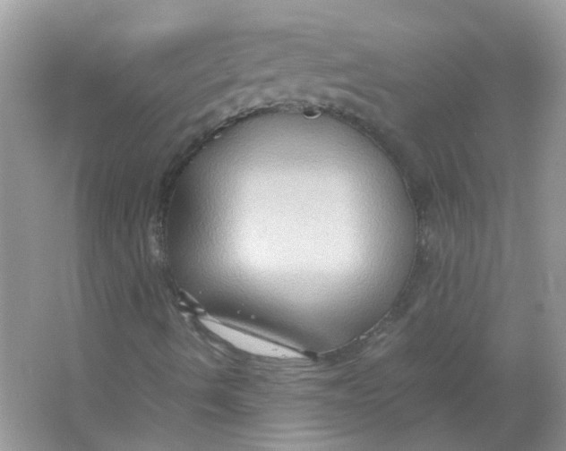 X0000065961490200603241833