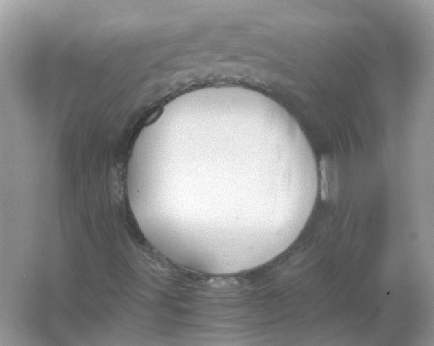 X0000065961491200603241833