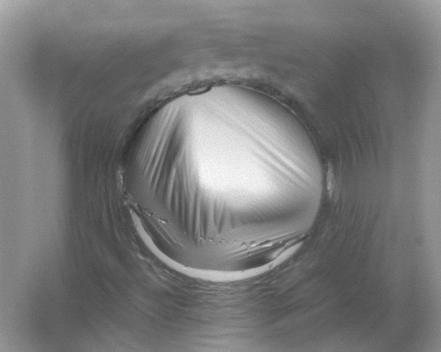 X0000065961492200603241833