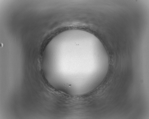 X0000065961493200603241833