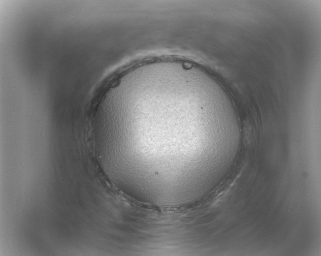 X0000065961494200603241833