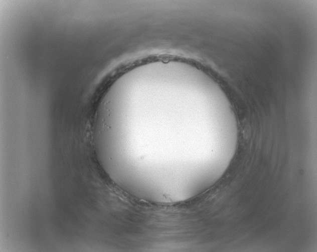 X0000065961495200603241833