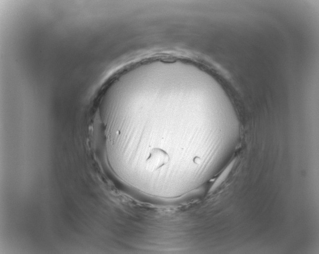 X0000065961496200603241833