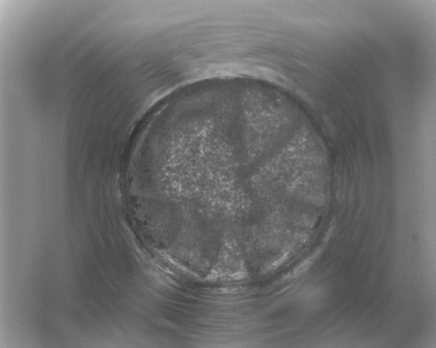 X0000065961497200603241833