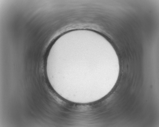 X0000065961498200603241833