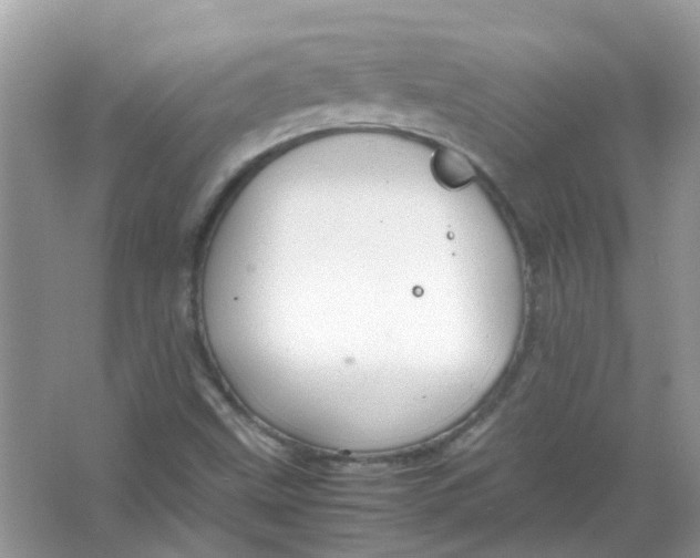 X0000065961499200603241833