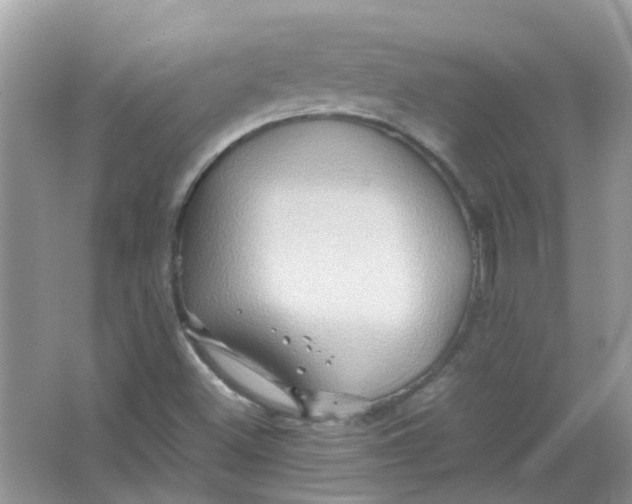 X0000065961500200603241833