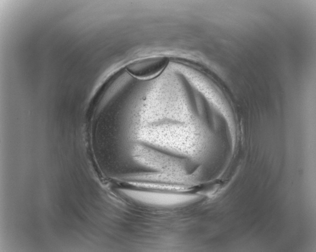 X0000065961501200603241833