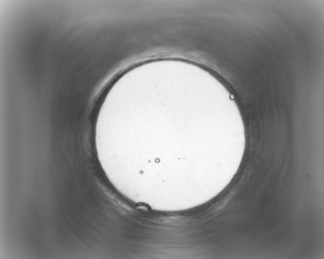 X0000065961502200603241833