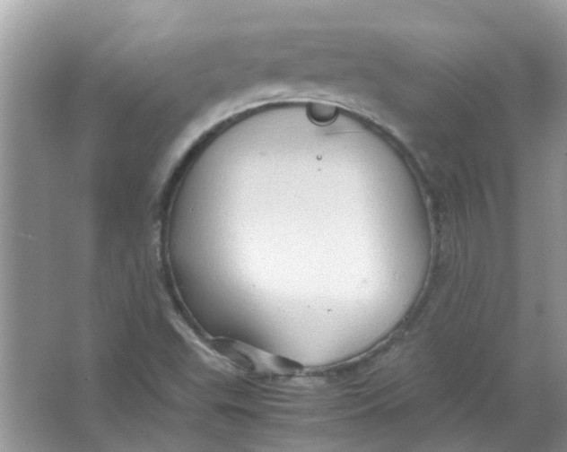 X0000065961503200603241833