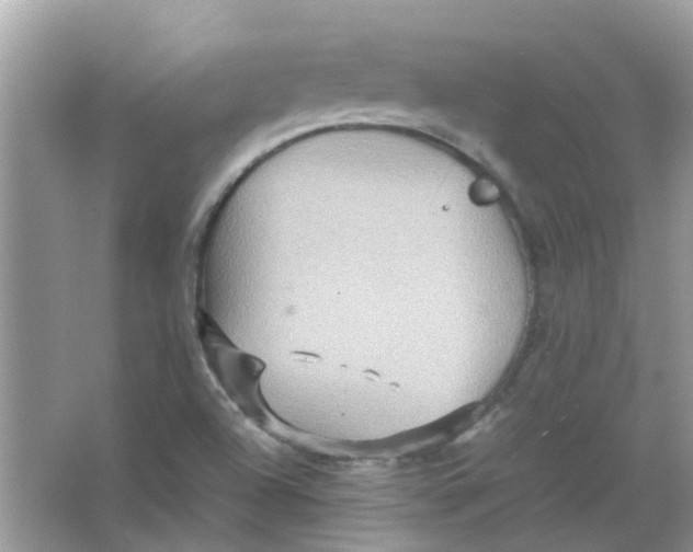 X0000065961504200603241833