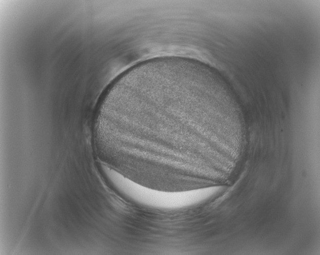 X0000065961505200603241833