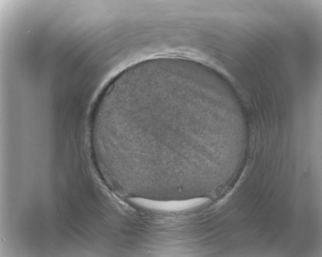 X0000065961506200603241833