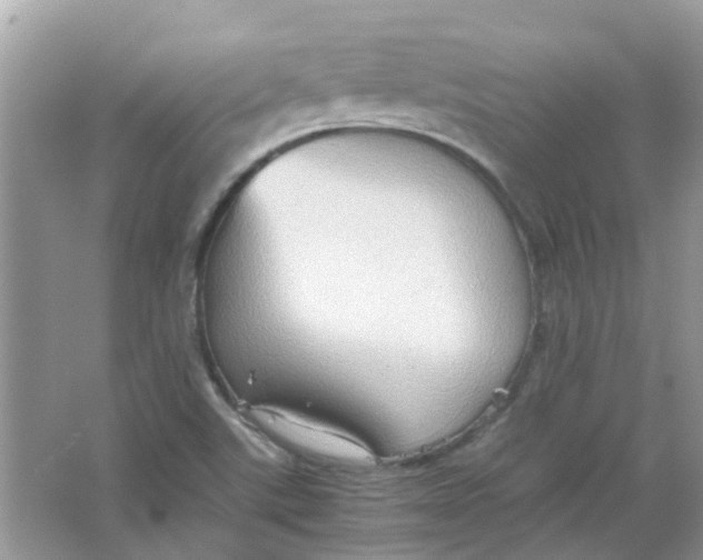 X0000065961507200603241833