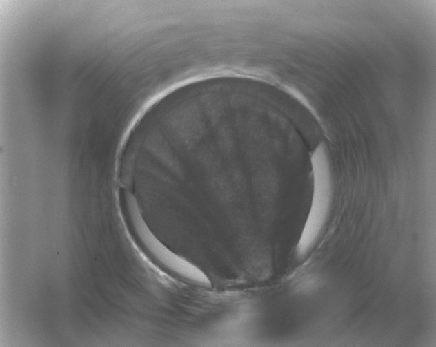 X0000065961508200603241833