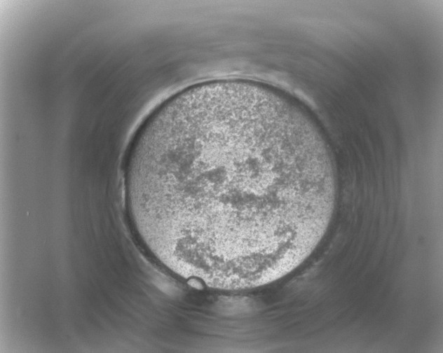 X0000065961509200603241833