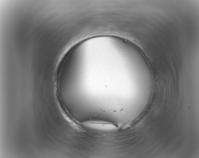 X0000065961511200603241833