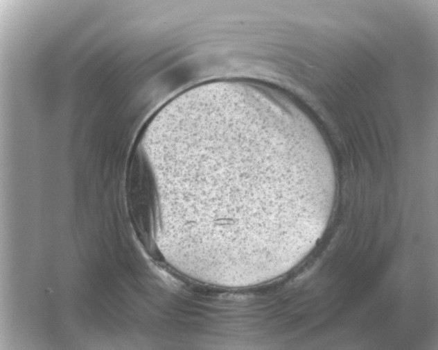 X0000065961513200603241833