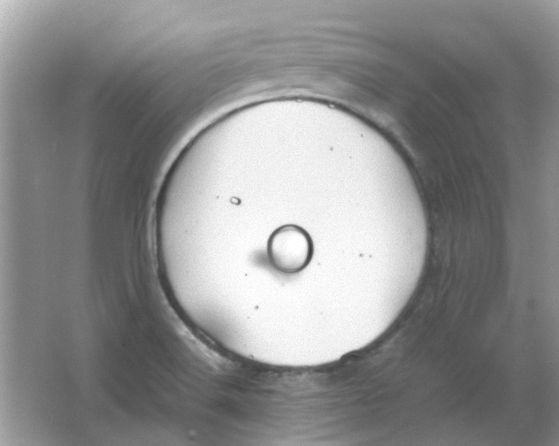 X0000065961516200603241834