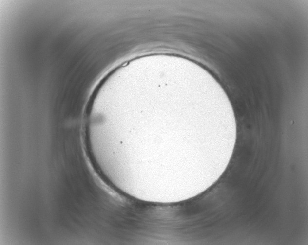 X0000065961518200603241834