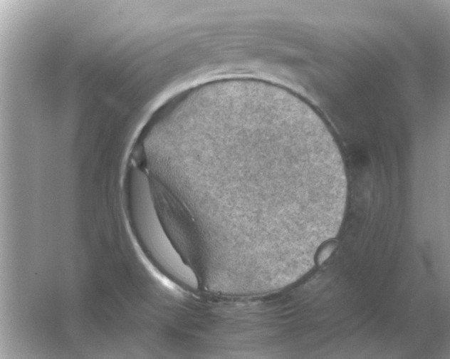 X0000065961519200603241834