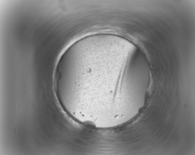 X0000065961520200603241834