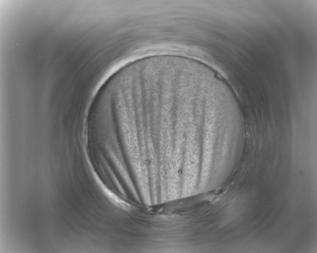 X0000065961523200603241834