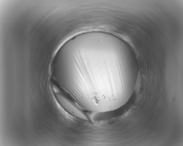 X0000065961524200603241834