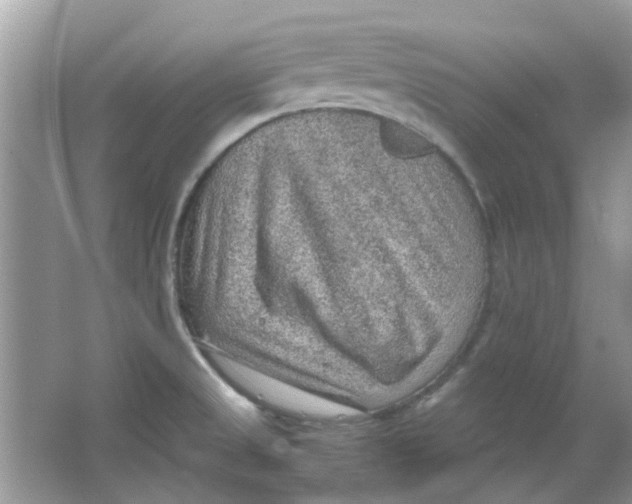 X0000065961525200603241834