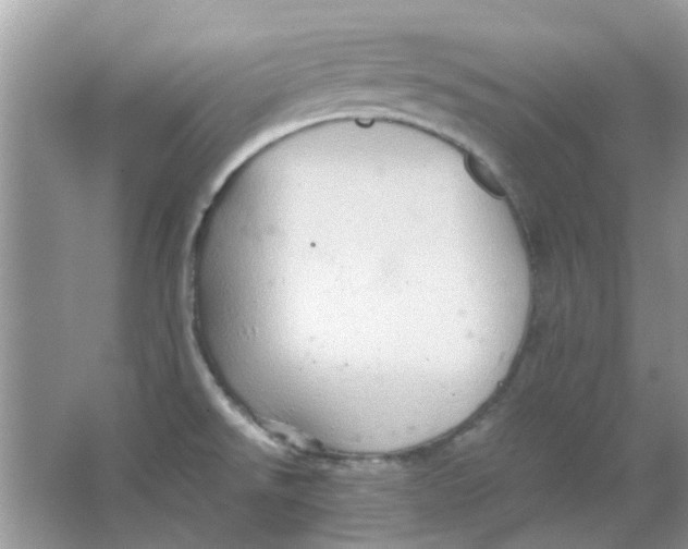 X0000065961526200603241834