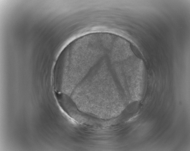 X0000065961527200603241834