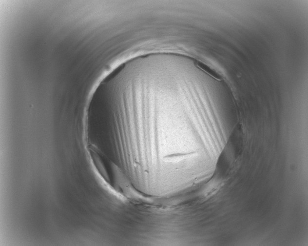 X0000065961528200603241834