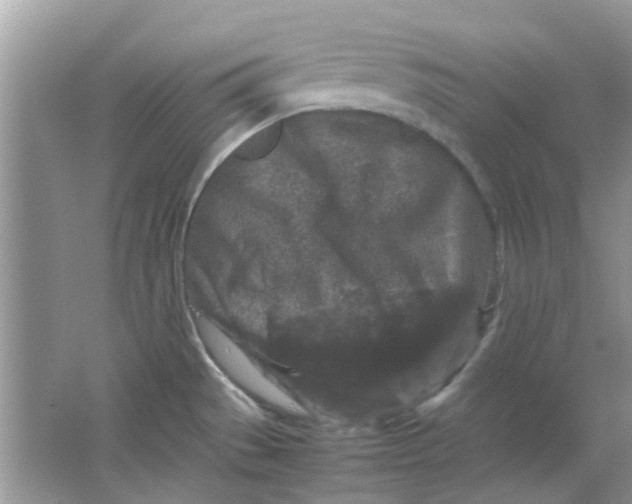 X0000065961529200603241834