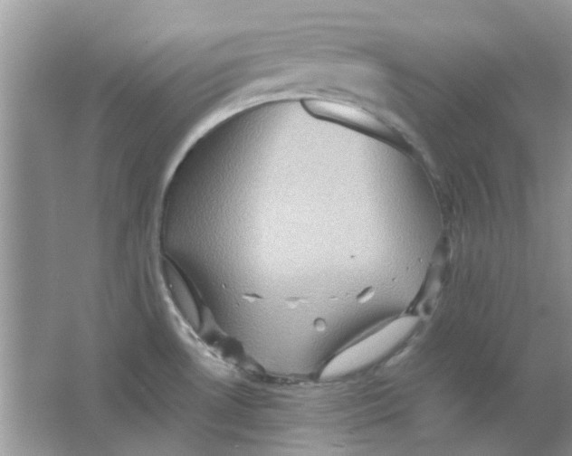 X0000065961530200603241834