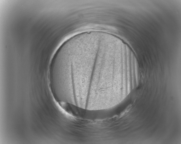 X0000065961531200603241834