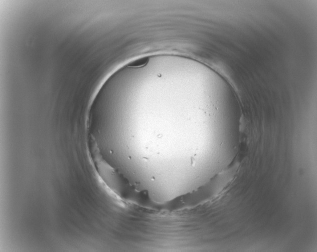 X0000065961532200603241834