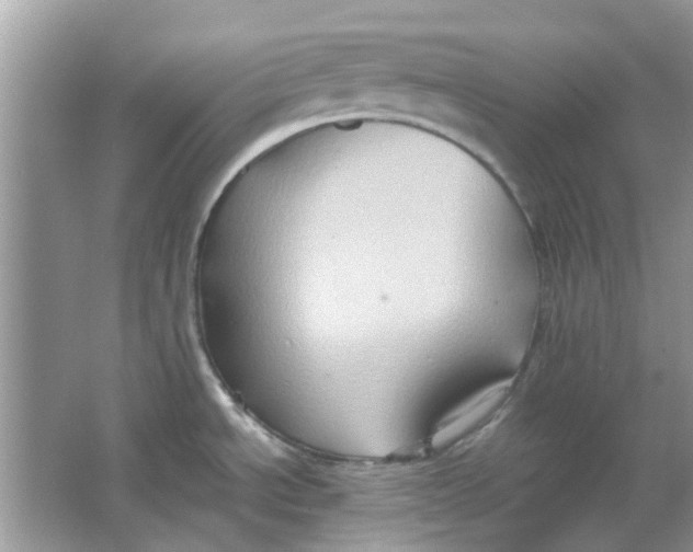 X0000065961534200603241834