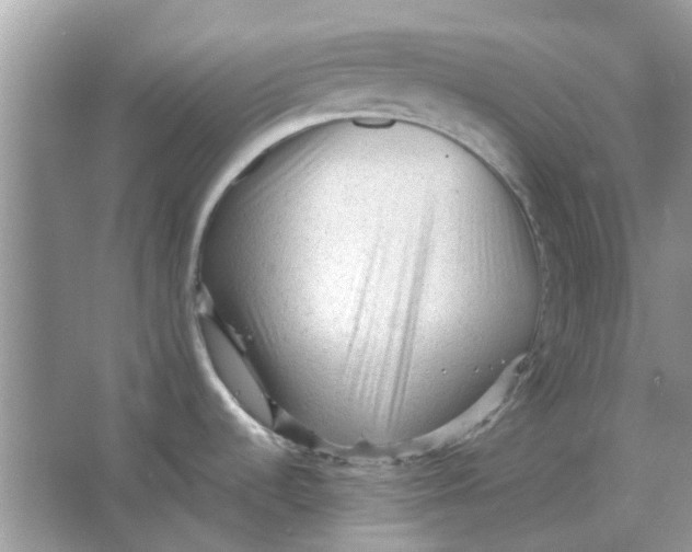 X0000065961536200603241834