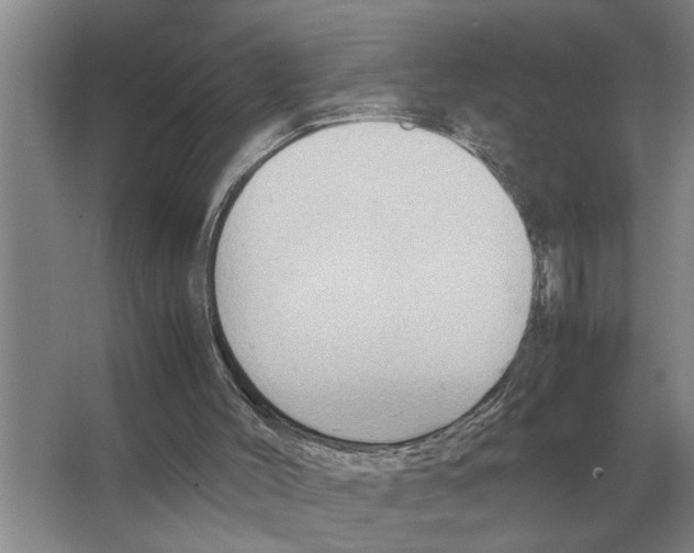 X0000065960004200603311824